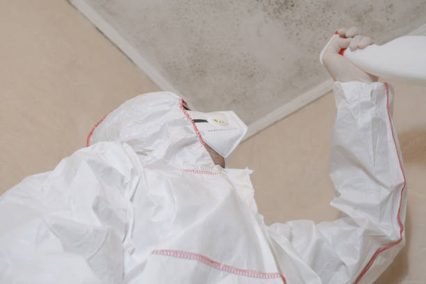 Best Local Mold Removal Service  in Kensington, MD